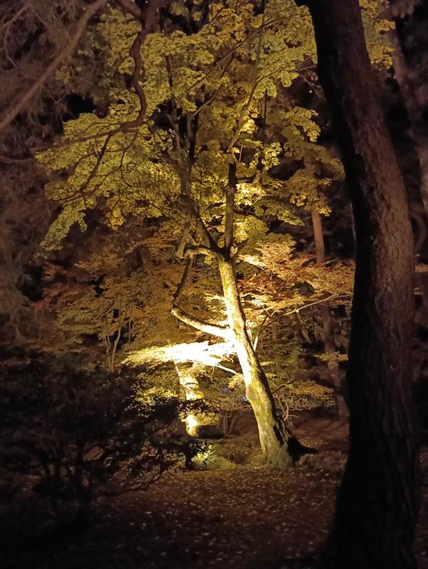 20251122_兼六園 噴水