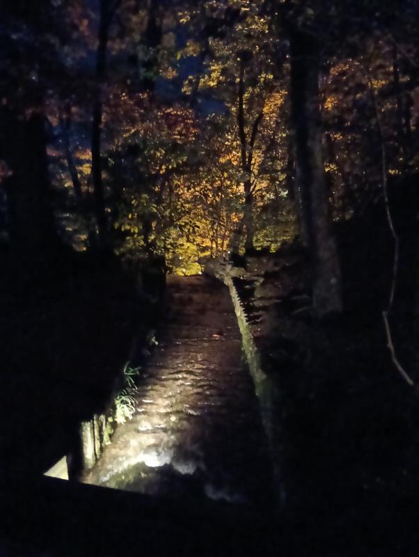 20251122_兼六園