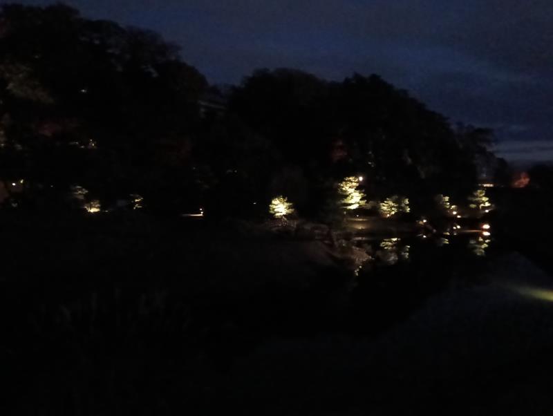 20251122_玉泉院丸庭園