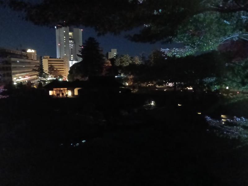 20251122_玉泉院丸庭園