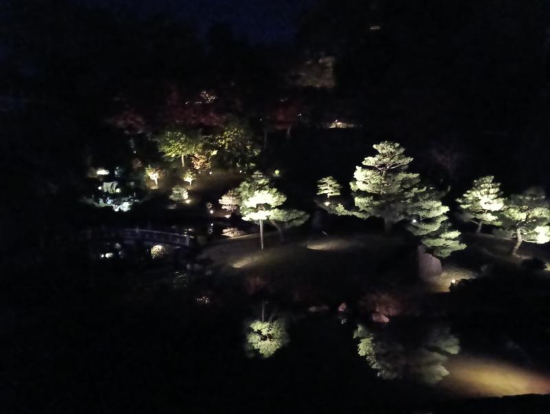 20251122_玉泉院丸庭園