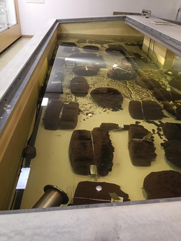 20251122_金沢市教育・文化埋蔵文化財センター埋蔵文化財収蔵庫