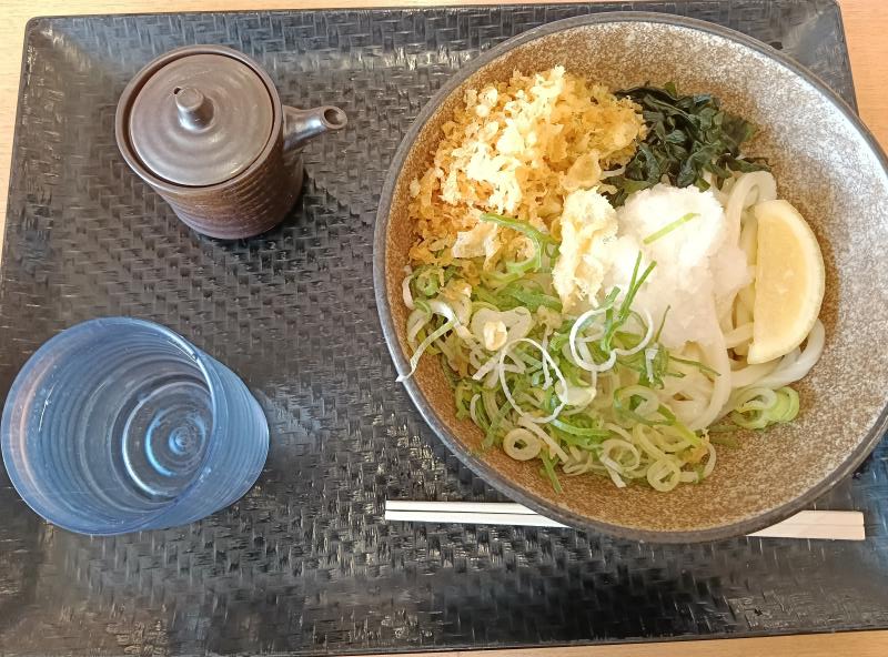 20260314_こがね製麺所 醤油うどん