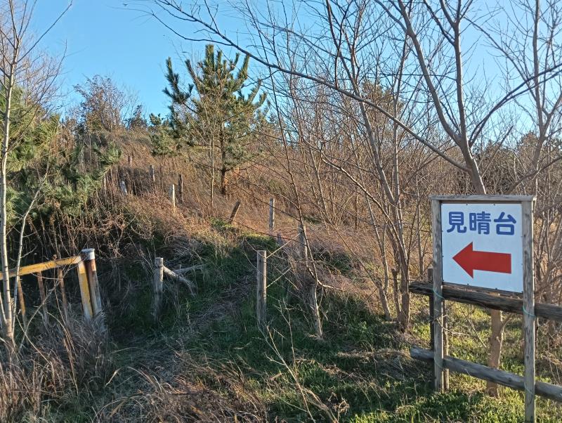 20251206_見晴台