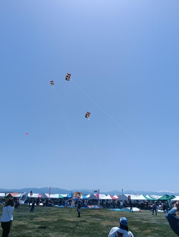 20260510_世界の凧の祭典