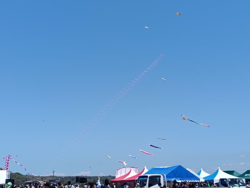 20260510_世界の凧の祭典