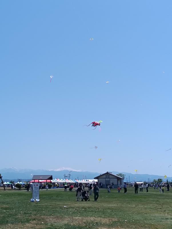 20260510_世界の凧の祭典