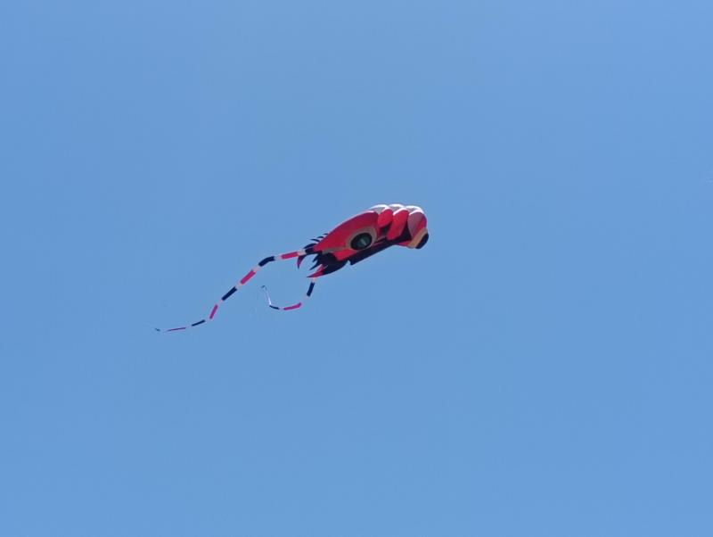 20260510_世界の凧の祭典