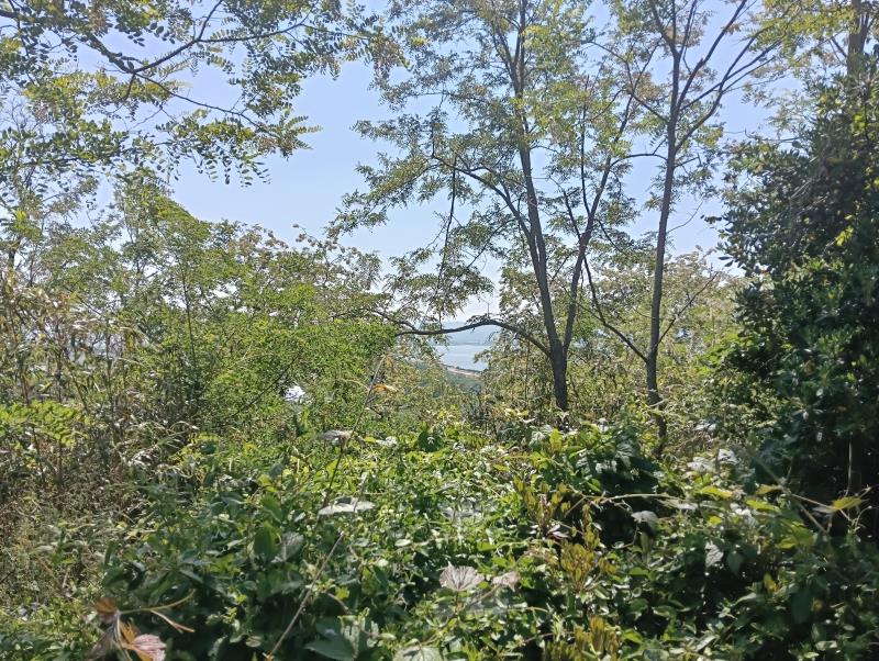 20260517_粟崎遊園本館入口