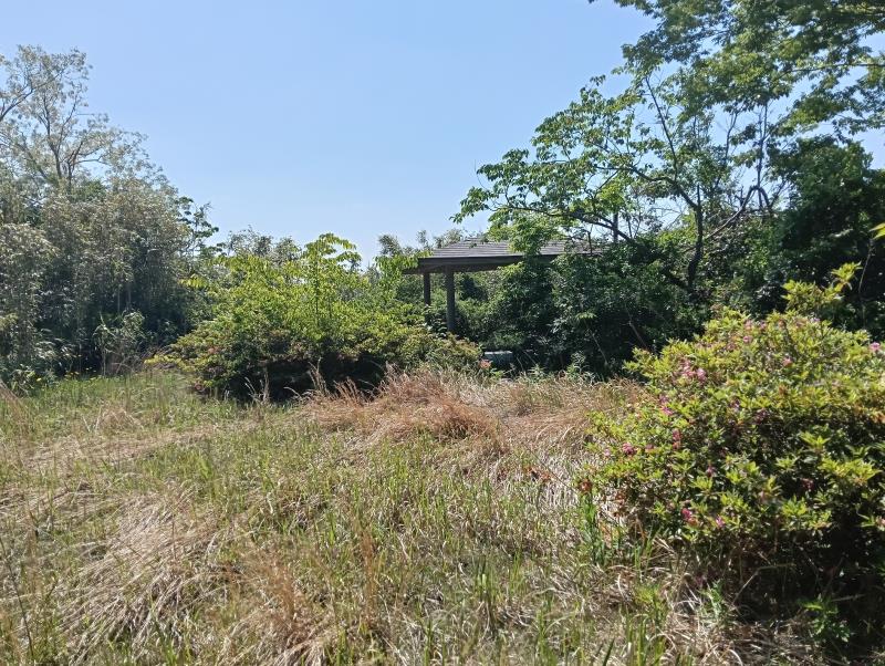 20260517_粟崎遊園本館入口