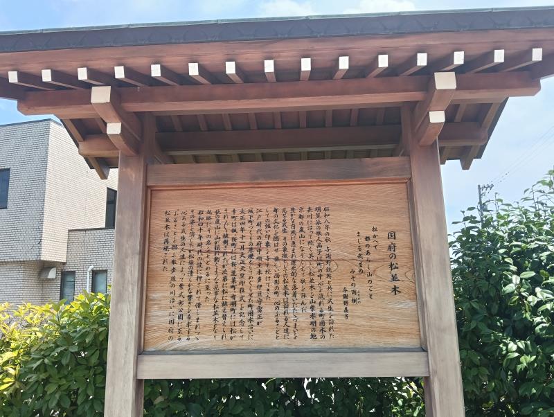 20260717_国府の松並木