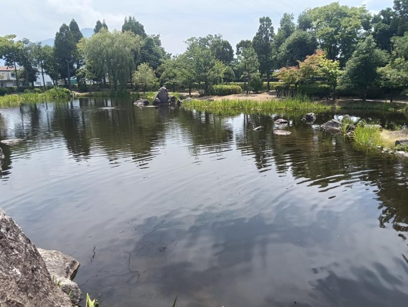 20260717_紫式部公園 泉池