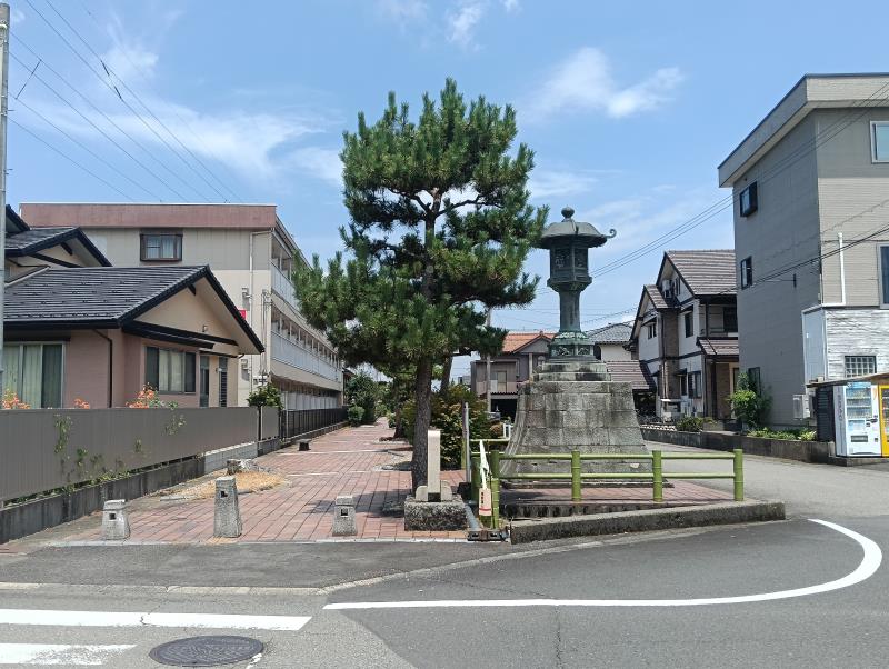 20260717_金灯籠