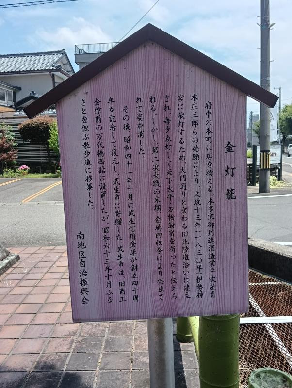 20260717_金灯籠