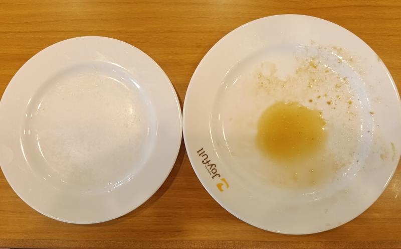 20261005_ジョイフル 豚肉のにんにく醤油＆唐揚げ